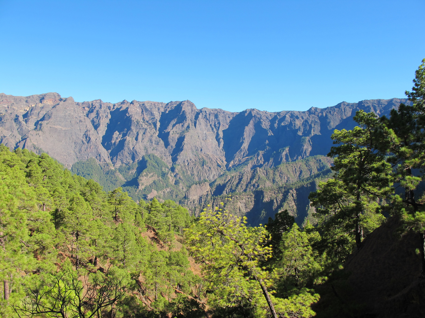 P. N. Caldera de Taburiente-La Palma