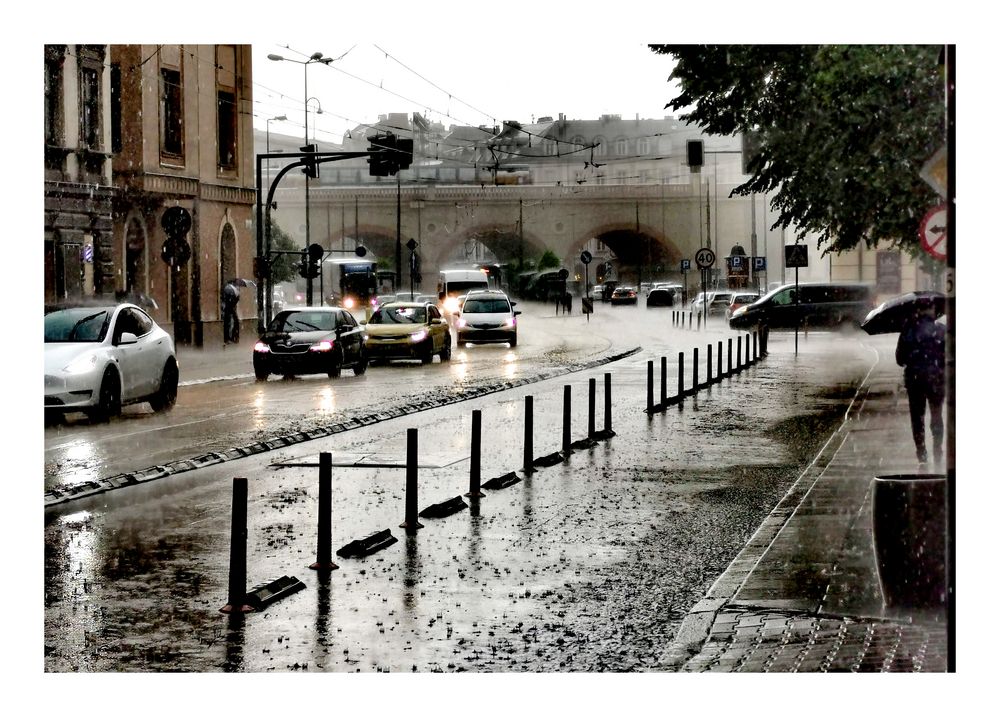 P-Regen_p30-IMG_20250522_233506
