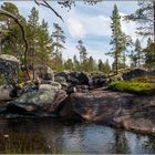 På Steinfjellet, sommer 2018