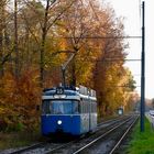 P-Wagen-Herbst (3 von 3)