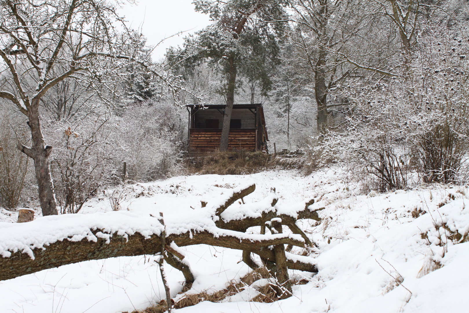 P* Winterlandschaft im Schnee 2 -Jan10