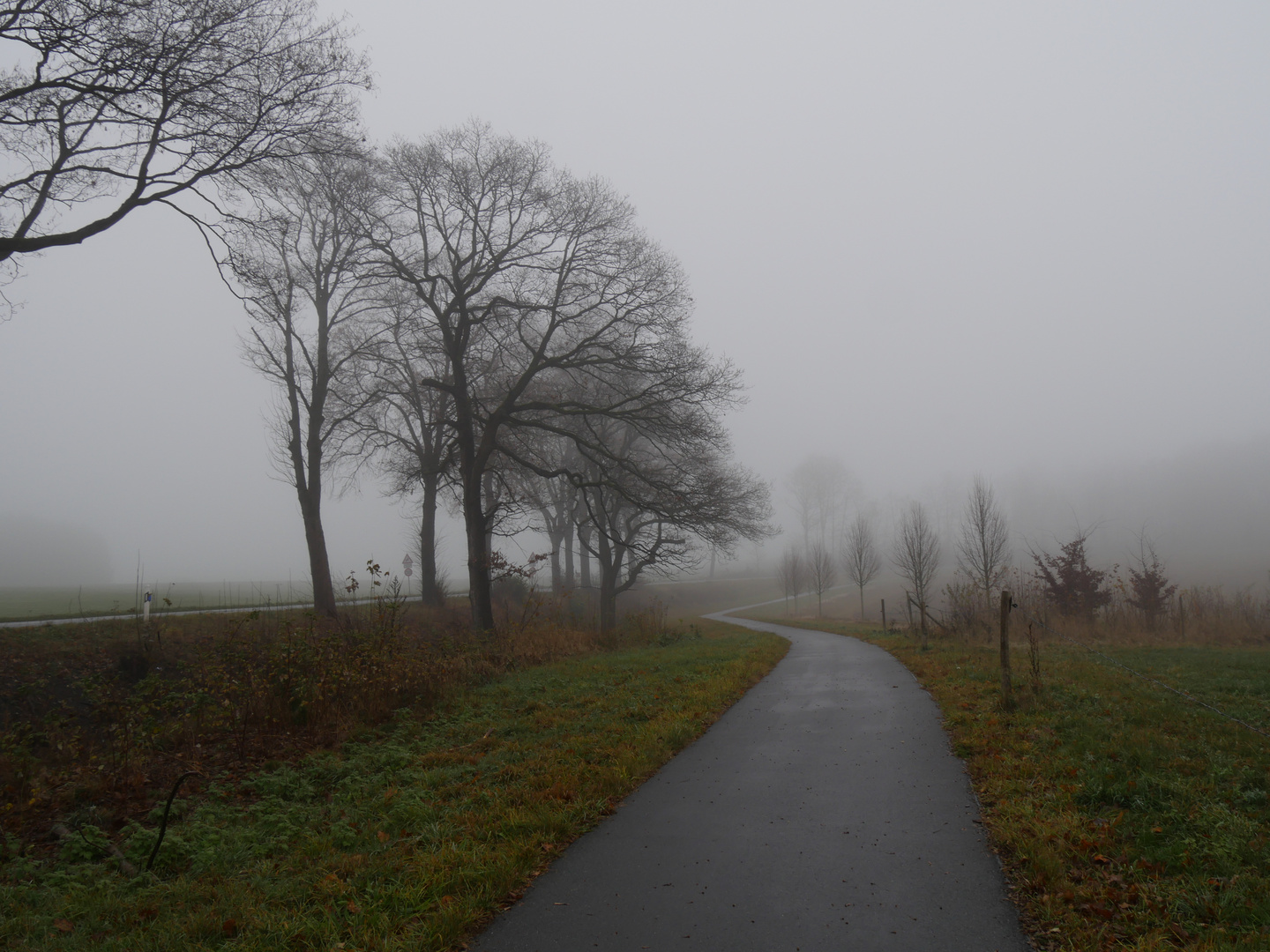 P1060279 Nebel