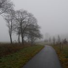 P1060279 Nebel