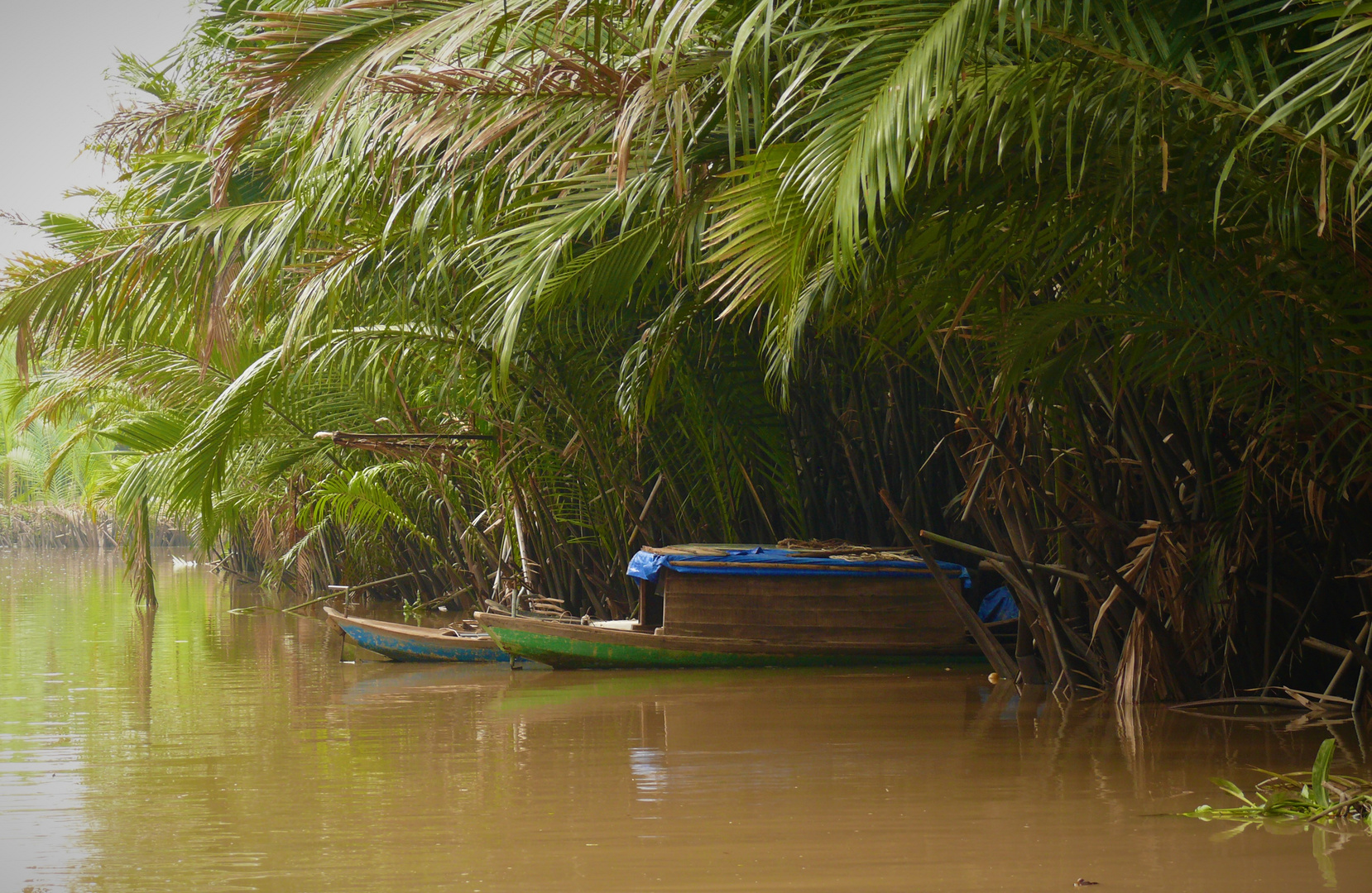 P1130005 Mekong