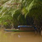 P1130005 Mekong