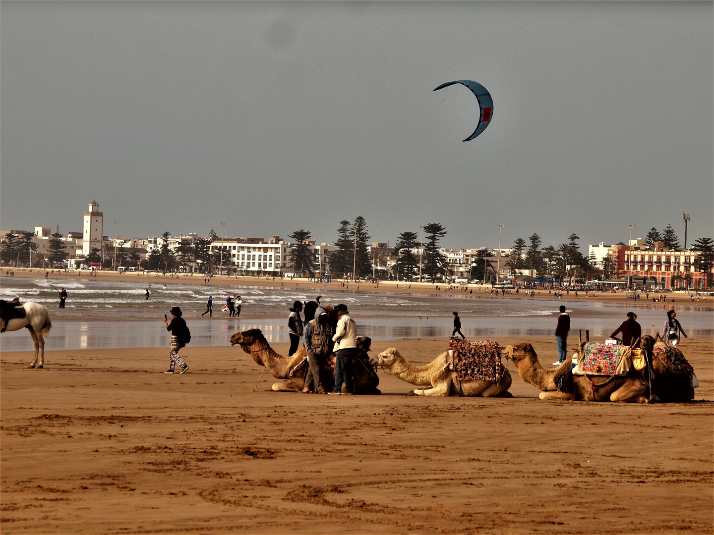 P2164243Sur la plage d'Essaouira (Maroc)