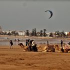 P2164243Sur la plage d'Essaouira (Maroc)