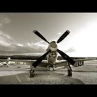 * P51 Mustang *