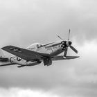 P51 Mustang  "Nooky Booky"