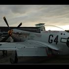 P51D