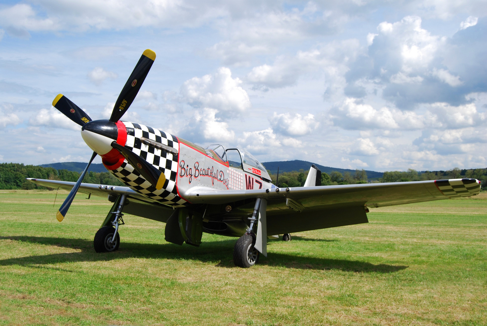 P51D "BigBeautifulDoll"