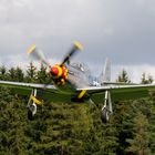 P51D Mustang...