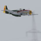 P51D Mustang