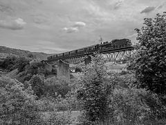 P8 2455 auf dem Fützener-Viadukt