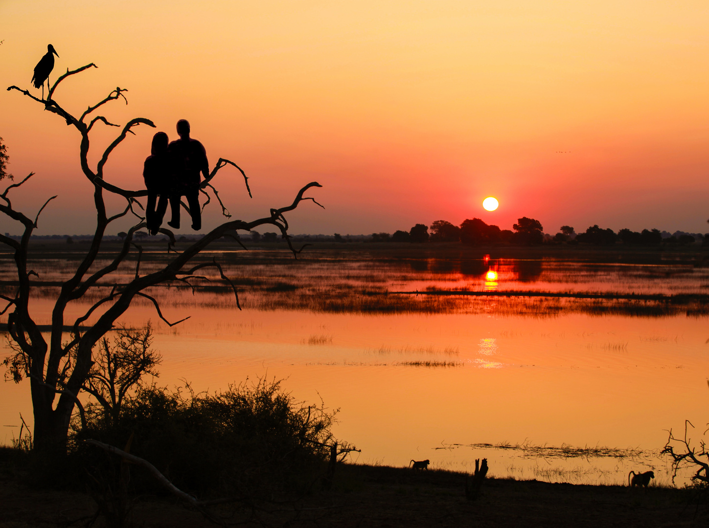 Paar am Fluss Chobe