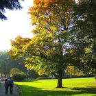 Paar am Herbstbaum