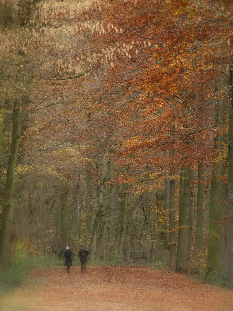 Paar im Herbstwald