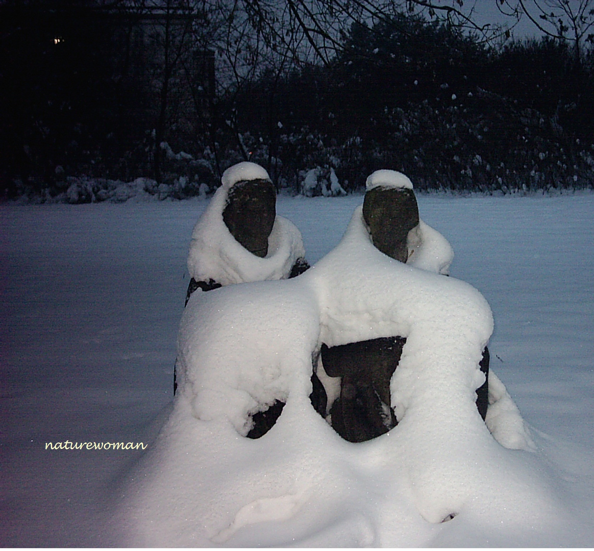 Paar in Schneedecke gehüllt