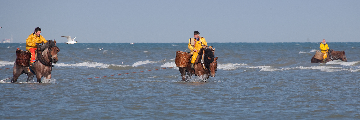 Paardenvissers(2)