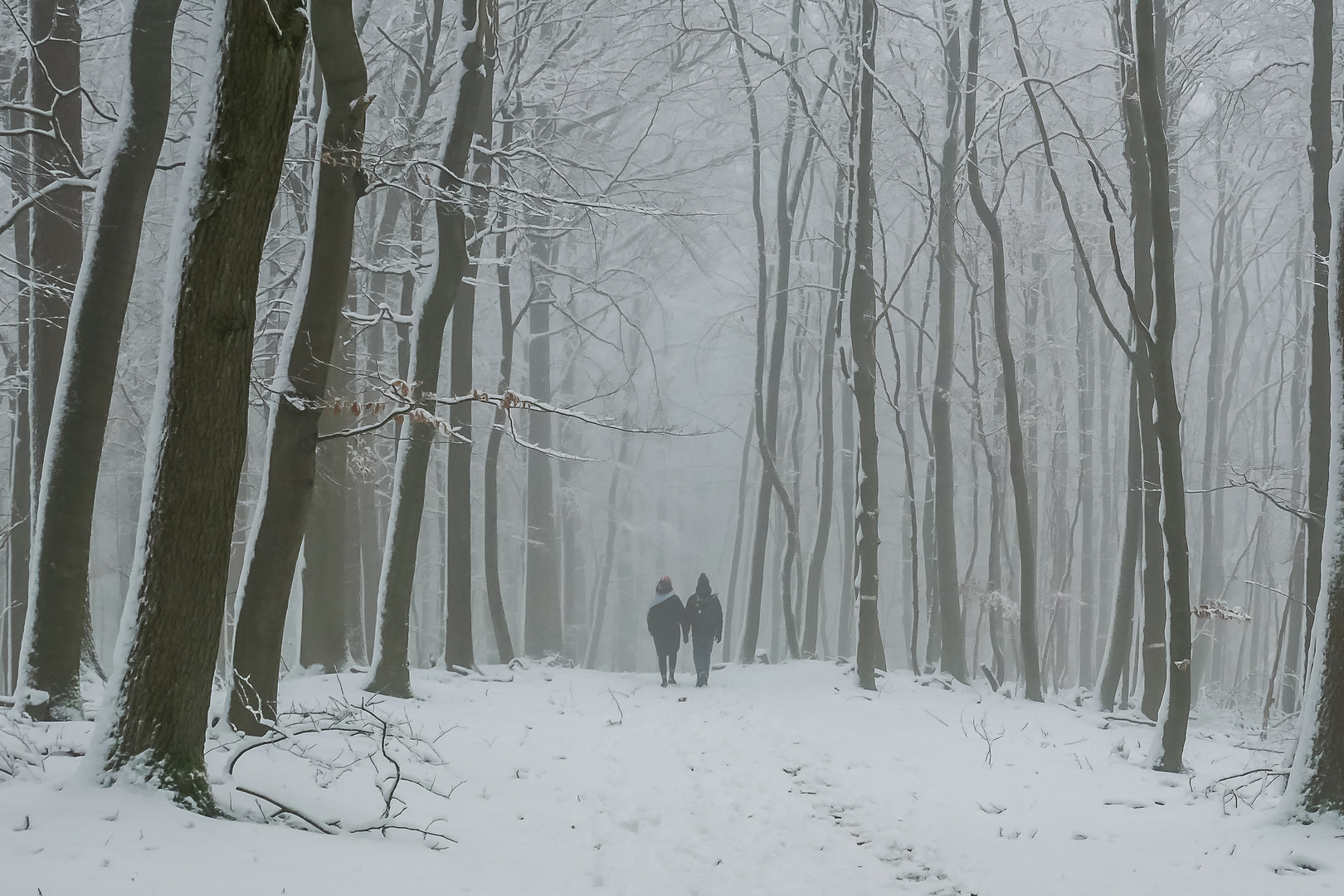 Paarlauf im Nebel