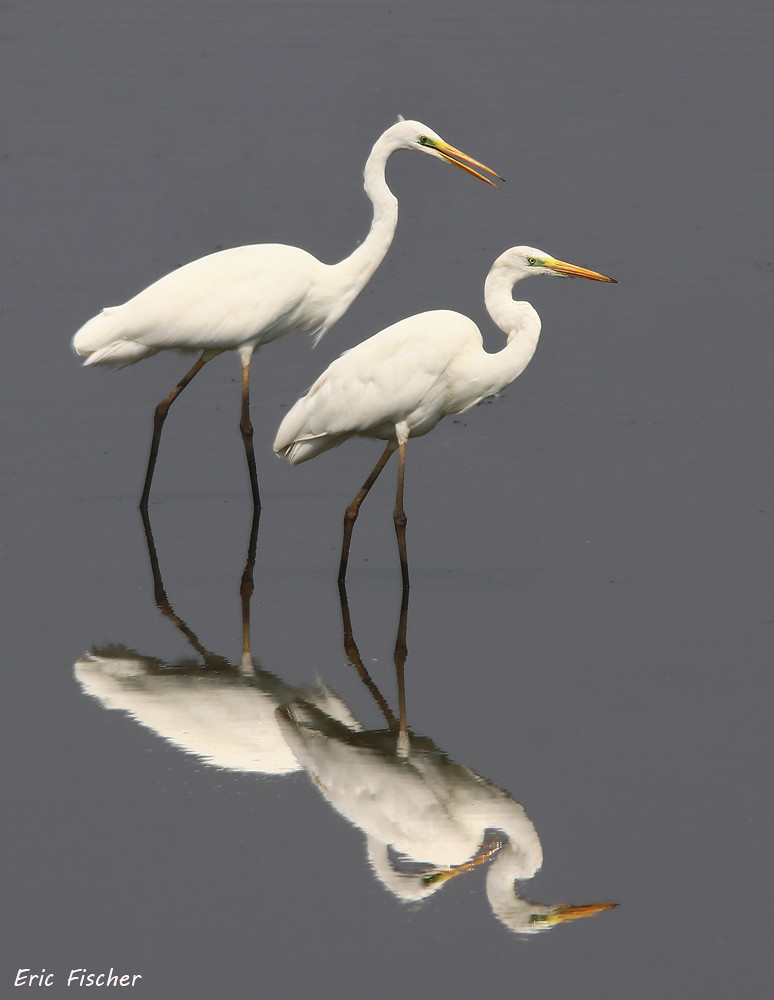 Paarlauf im See