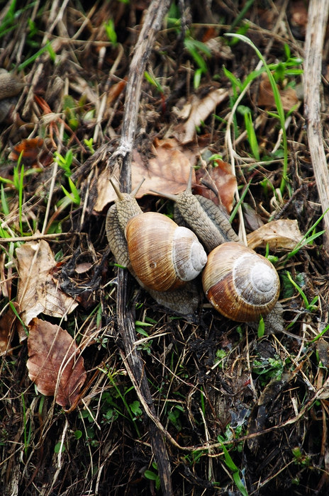 Paarlauf mit Ruhe