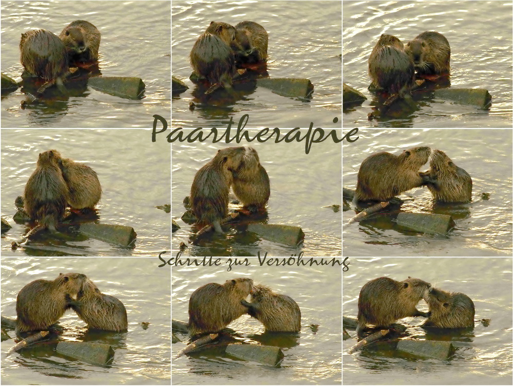 Paartherapie