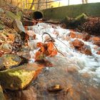 Paasbach bei Hattingen-Bredenscheid in Abendlicht-Vollansicht