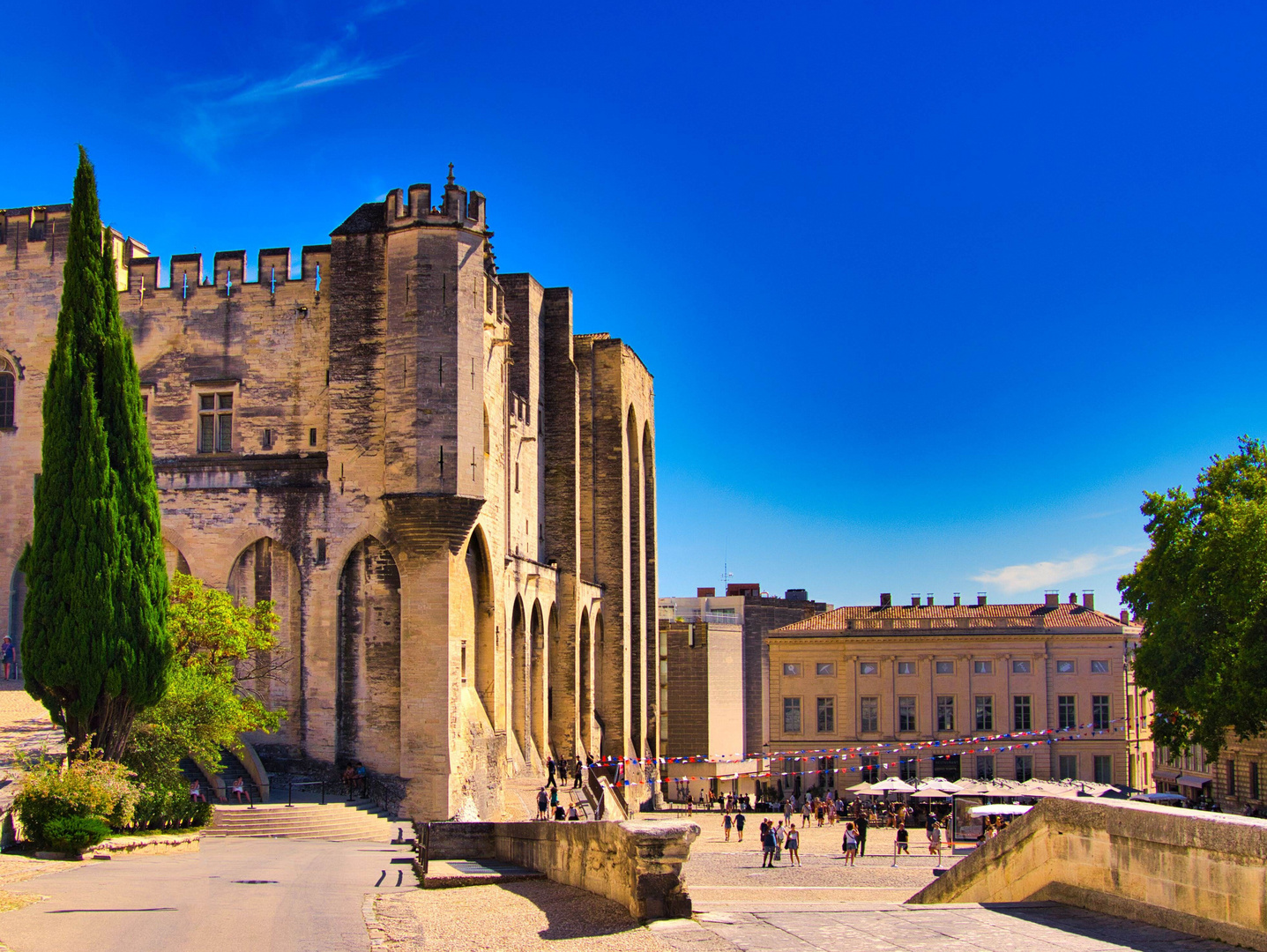 Pabstdom Avignon