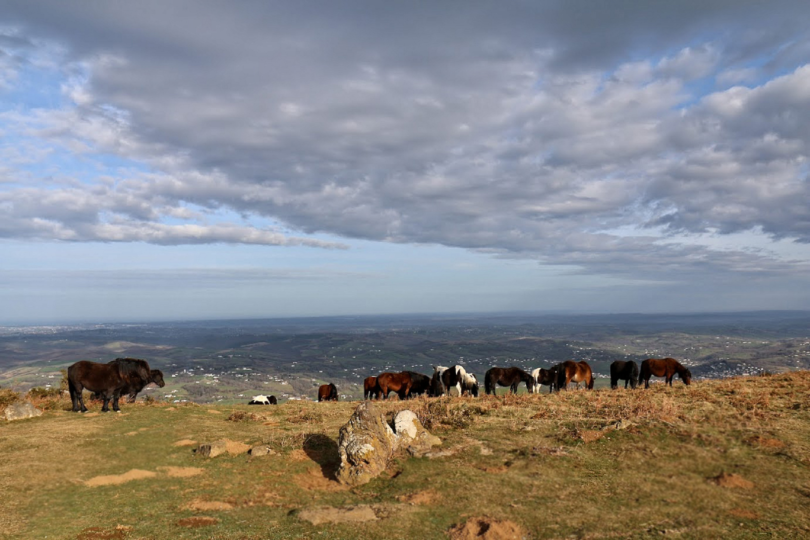 pacage au pays basque