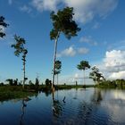 Pacaya Samiria Nationalpark, Amazonasgebiet, Peru