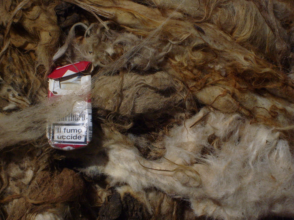 pacchetto di sigaretta incastrato in un cumulo di lana