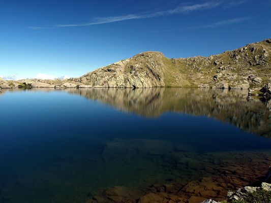 Pachyderme de pierre .  