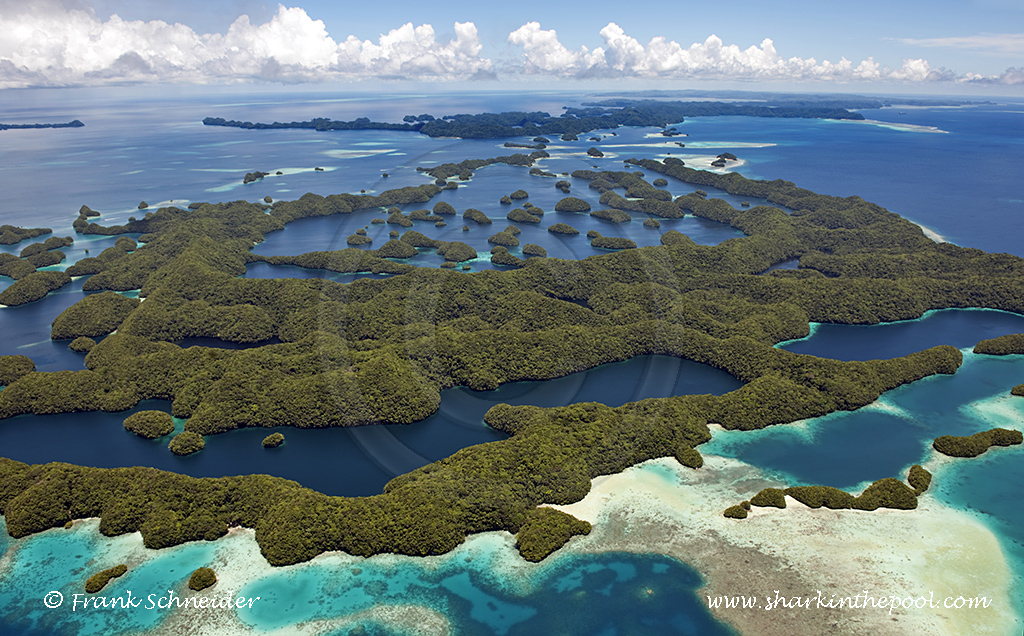 Pacific (1000 Islands, Palau)