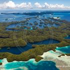 Pacific (1000 Islands, Palau)