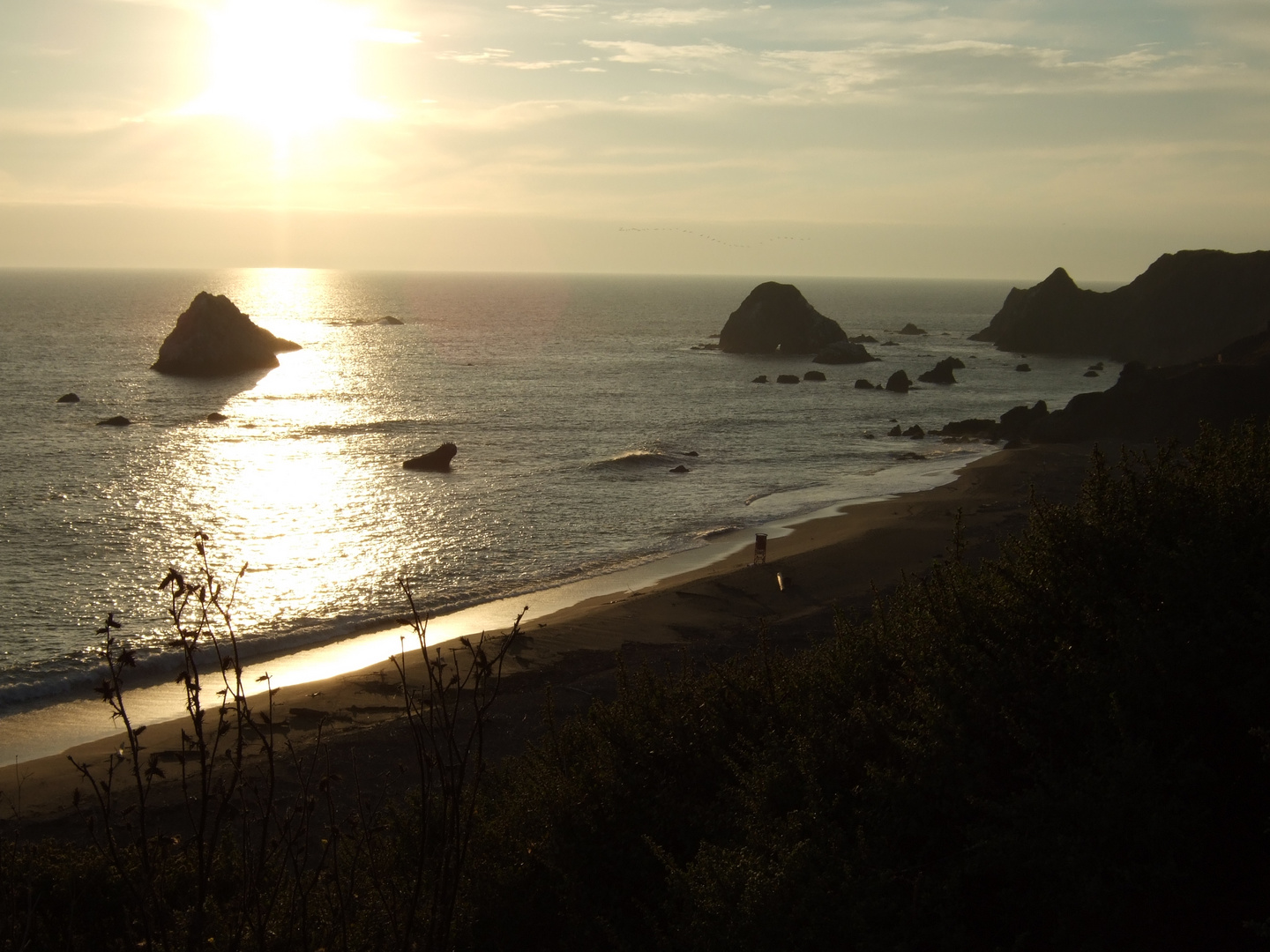 Pacific Coast Byway - Oregon