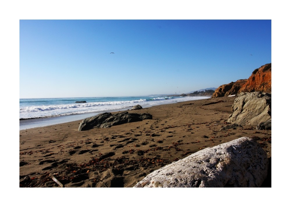 Pacific Coast @ Pismo Beach