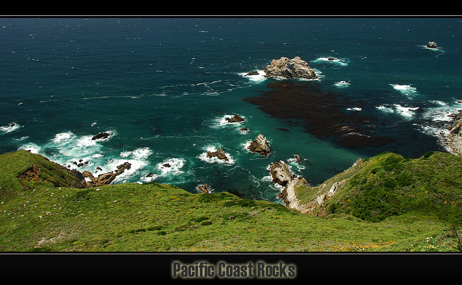 Pacific Coast Rocks