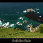 Pacific Coast Rocks
