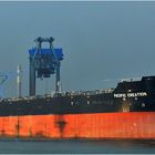 PACIFIC CREATION (3) / Bulk Carrier / Rotterdam