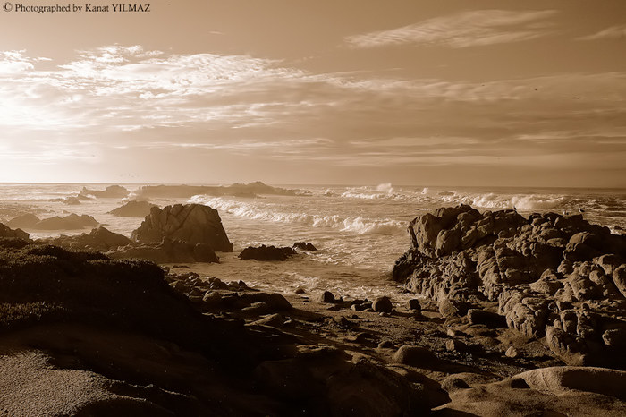 Pacific Grove