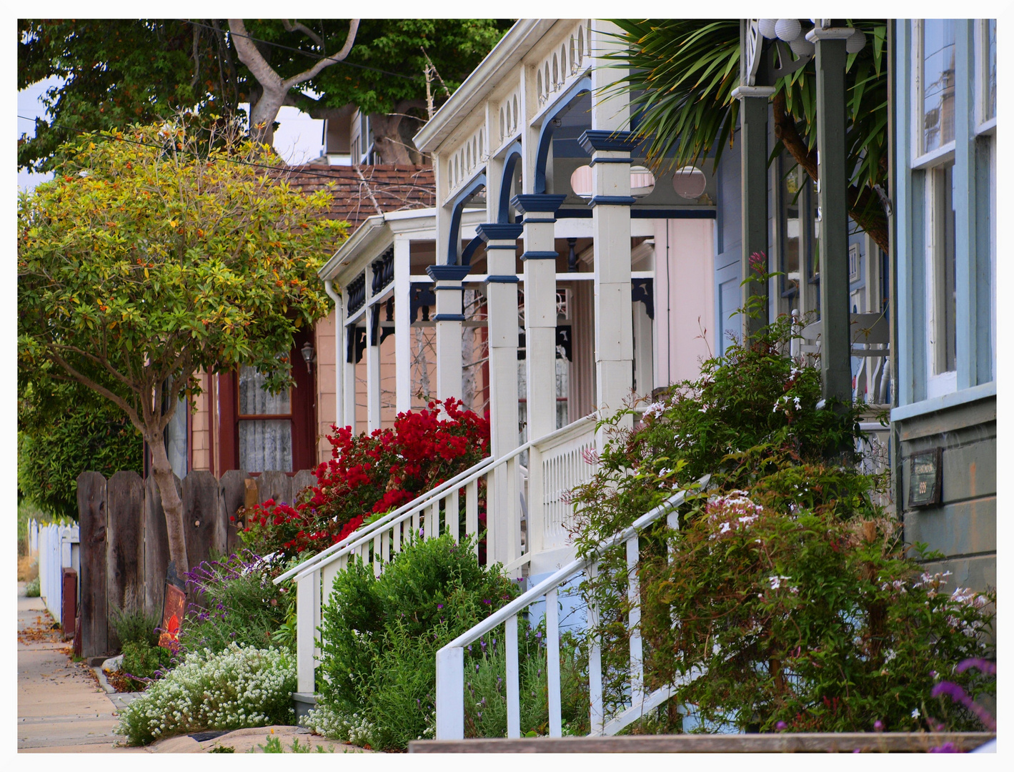 Pacific Grove/ Monterey - California