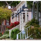 Pacific Grove/ Monterey - California