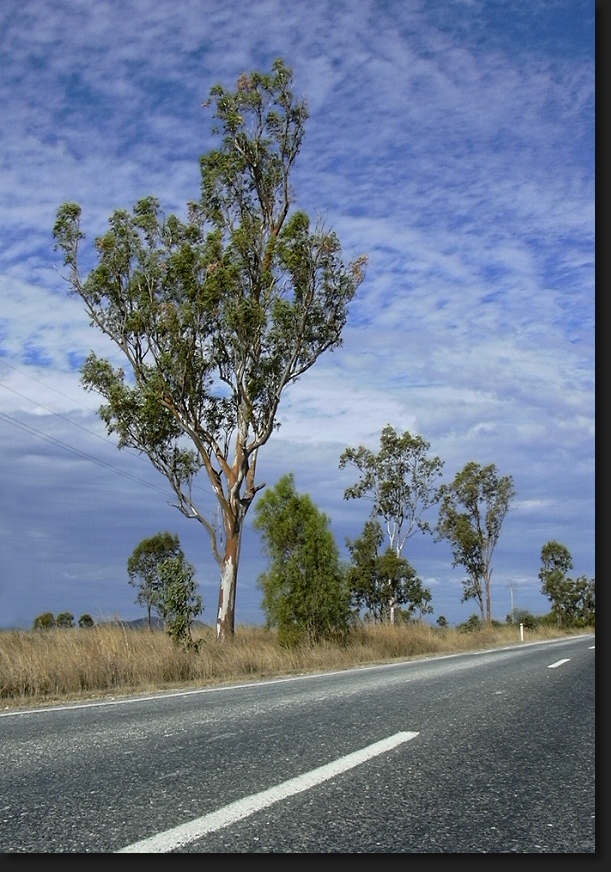 Pacific Highway