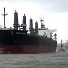 PACIFIC NEXUS Bulk Carrier 190m lang