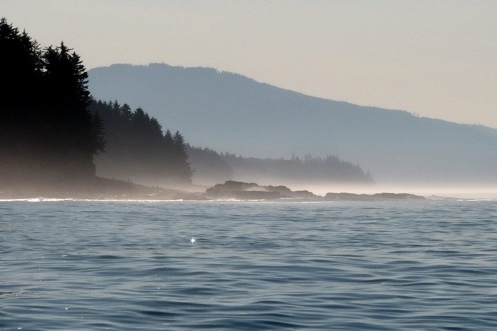 Pacific Northwest Moments - Morning Mist