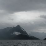 Pacific Northwest Moments - RAIN