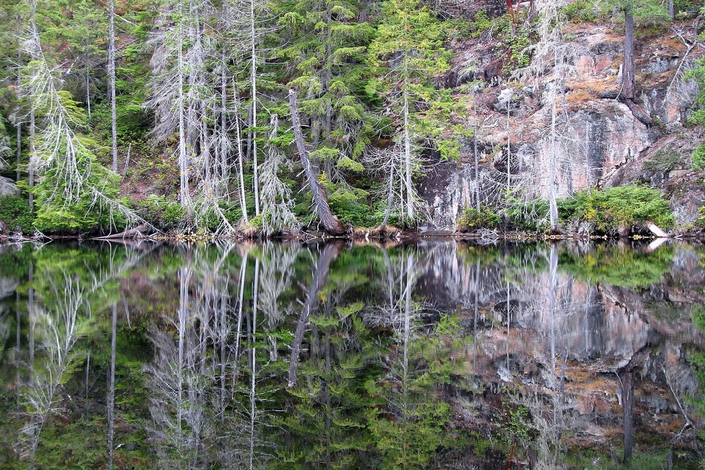 Pacific Northwest Moments - Reflections