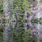 Pacific Northwest Moments - Reflections