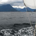 Pacific Northwest Moments - Sailing Downwind
